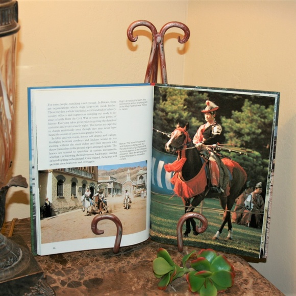 The World of Show Horses book - Picture 3 of 4